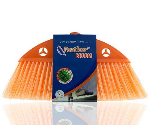 feather, Orange Kingfisher broom